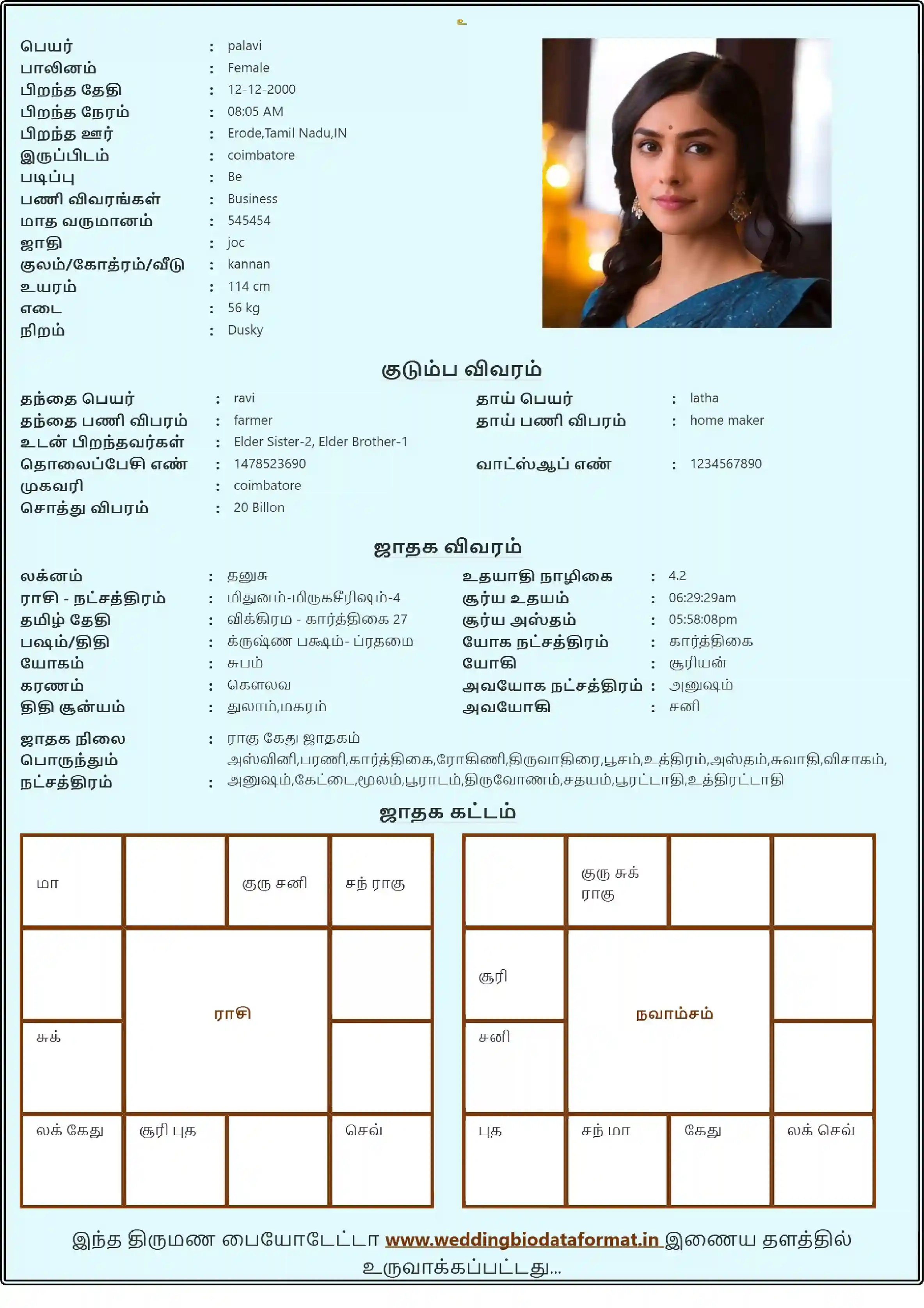 sample bio data template 6